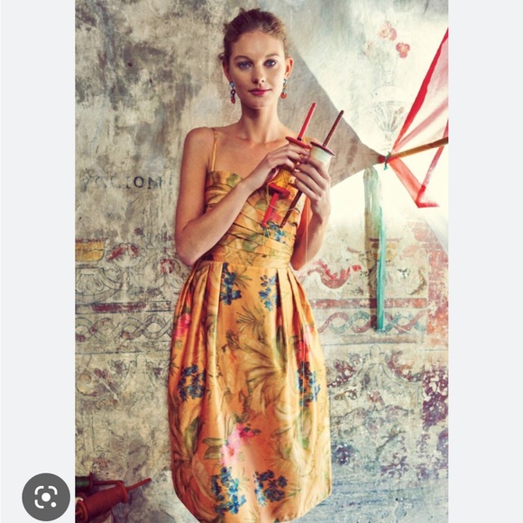 Anthropologie Dresses & Skirts - anthropologie james coviello botanica dress